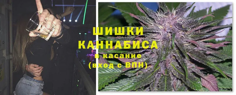 Бошки Шишки White Widow  KRAKEN как войти  это официальный сайт  наркота  Гороховец 